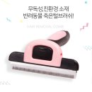 델리펫 이미지