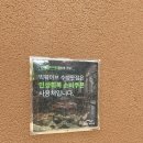 정이목장 | 대구 수성못 브런치 카페 빅웨이브 수성못점 신상 오픈 방문 후기