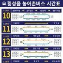 썬스타미용실