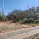 모량초등학교 이미지