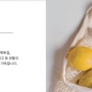 해운대세무서 이미지