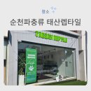 대신부화장 | 태산렙타일 ㅣ순천 파충류 매장, 아이들과 특별한 하루 내가 더 빠져들었다