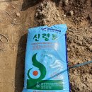둔덕농장2 이미지