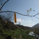 평사리주유소 이미지