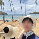 하와이 신혼여행 6일차 (하나우마베이, 와플앤베리, 힐튼불꽃놀이, 쉐라톤와이키키)
