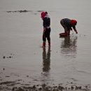 복산리 달천 이미지