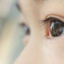 아이편한 안경콘택트 이미지