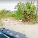 ★시골집터매매/ 임하면 신덕리 남향 집터 싸게매매~~ 위치좋음 이미지