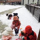 산새들어린이집 이미지