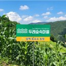 장한농장 이미지