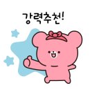 유한회사 가나투어