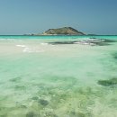 달카페&레스토랑 이미지