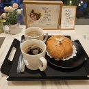 카페리코 이미지