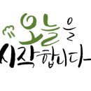 M카센타 이미지