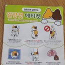 야옹야옹캣카페 | 동성로 고양이 카페,대구시내 고양이카페,말랑캣고양이카페,대구말랑캣고양이카페