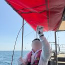 장사항 | 속초배낚시체험 초보도 재밌는 장사항 모래기호 바다낚시 후기