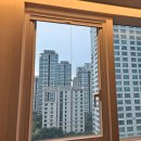 더샵 동물병원 | 인천 송도방충망 교체 전문 입주 전 롤방충망 시공으로 벌레·미세먼지 해결한 실제 후기