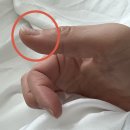 레오파트 | 겨울네일아트 고민 끝? 자석젤 네일팁으로 완성한 블랙 레오파트 수제네일팁 리얼후기 (rohsha로샤)