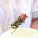 힐링채