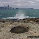 흙의 살들(시비) 이미지