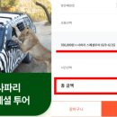 (주)에버투어 이미지