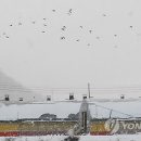 양영석농장 이미지