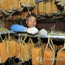 양구친환경영농조합법인 이미지