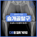 잠실베스트동물병원 수술재활센터 이미지