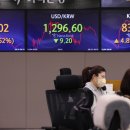 에코로지스 이미지