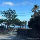 548 | 제주 성산 에어비앤비 가성비 감성숙소 <삼달548> 연박후기