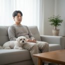 꼬리치는강아지 이미지