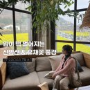 성읍102 | 산방산 유채꽃 명소 3월 제주도 여행코스 오라디오라 카페