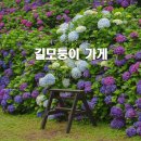 동광리-8 이미지