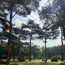 1공단1길48 | 원주 오크밸리 밸리빌리지 48평 후기(숙소내부, 퍼니팩토리, 놀이터 등 편의시설)