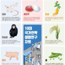 돼지인력개발
