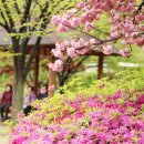 월곡쉼터 네이버블로그
