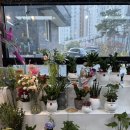 [수원] 나만 알고싶은 호매실 봉당 24시 무인꽃집 &#34;마루꽃&#34; 솔직후기💐✨