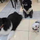 남포아지트 이미지