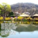 생각대로 이미지