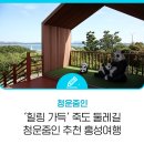 죽도대나무마을 영어조합법인 | 청운줌인 추천 홍성여행 - &#39;힐링 가득&#39; 죽도 둘레길