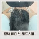메디선 이미지