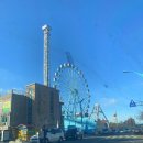 차이나홀짜장 이미지