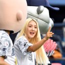 컴포토 이미지