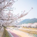 대청천R 네이버블로그