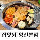 도로변(항동 100-14) | [양산] 북정닭갈비 맛집 ‘잡앗닭 양산북정본점‘ | 숯불에 구워주는 집