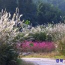 자연마당 이미지