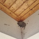 지희농장 이미지