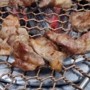 진목살참숯돼지 이미지