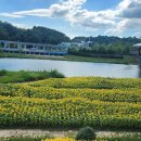 순천만국가정원 이미지