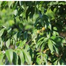 원창농장 이미지